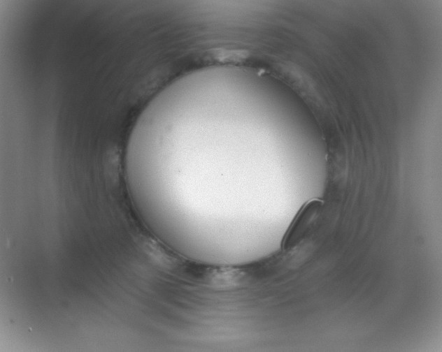 X0000068840321200605191932