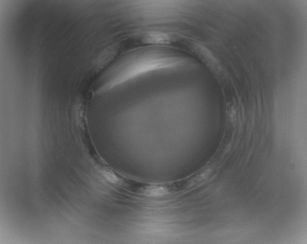 X0000068840322200605191932