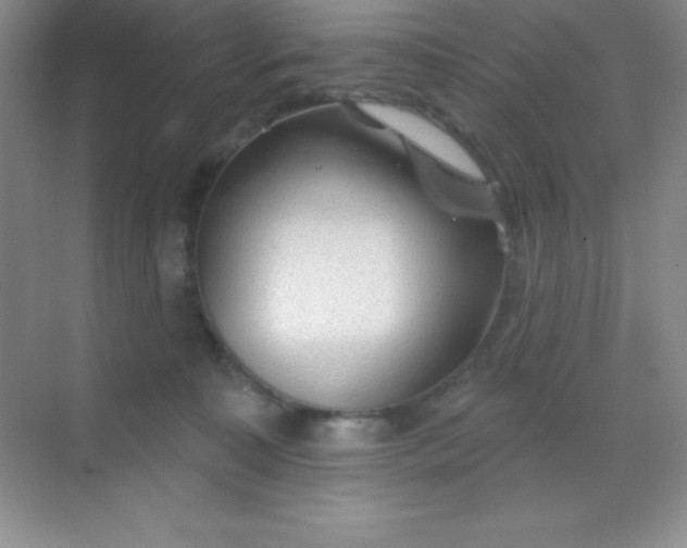 X0000068840323200605191932