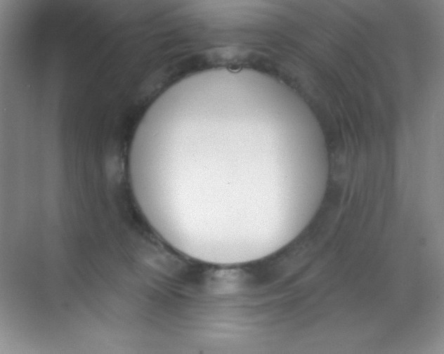 X0000068840324200605191932