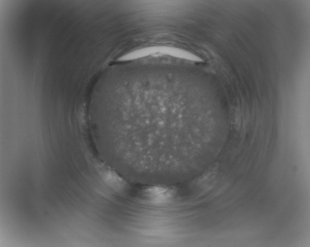 X0000068840326200605191932