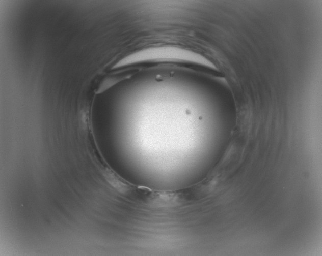 X0000068840329200605191932