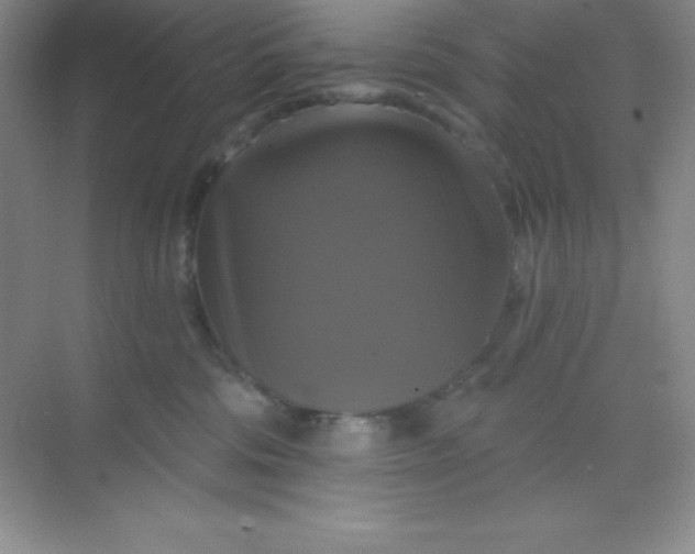 X0000068840330200605191932