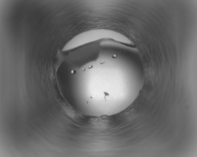 X0000068840331200605191932