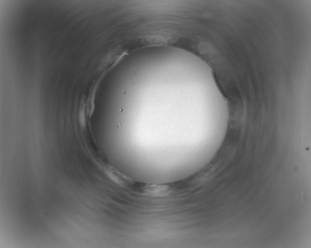 X0000068840334200605191932