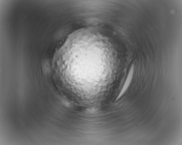 X0000068840335200605191932