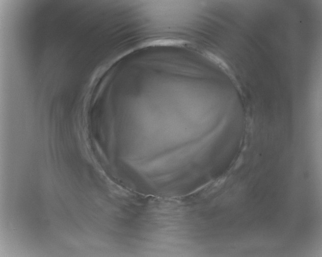 X0000068840337200605191931