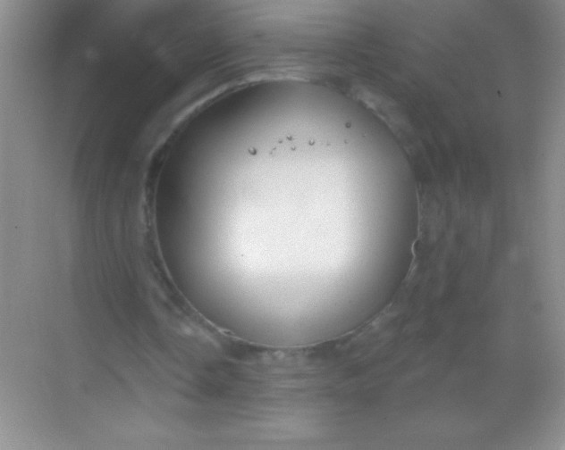 X0000068840338200605191931