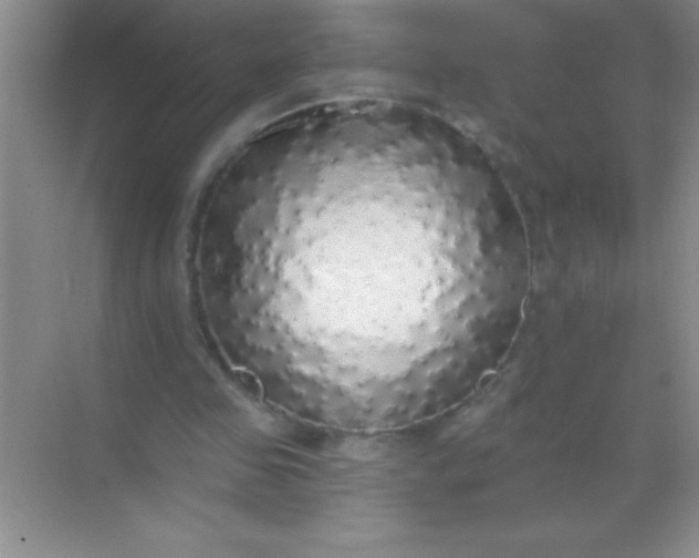 X0000068840341200605191931