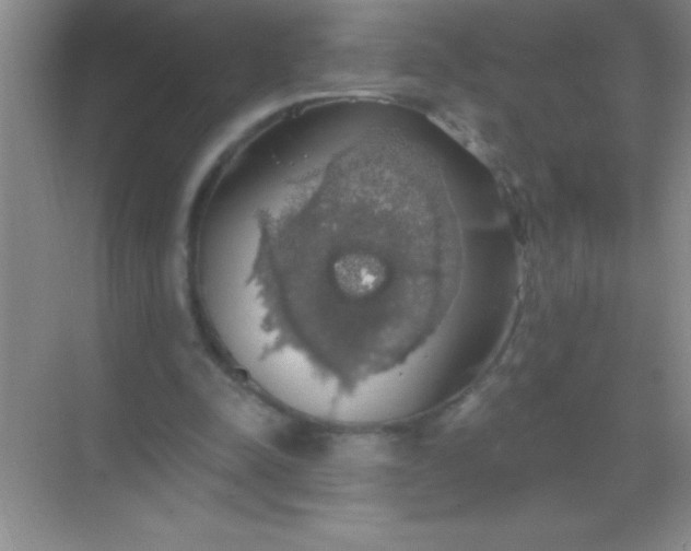 X0000068840342200605191931