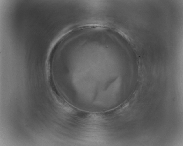 X0000068840343200605191931