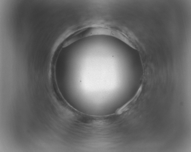 X0000068840344200605191931