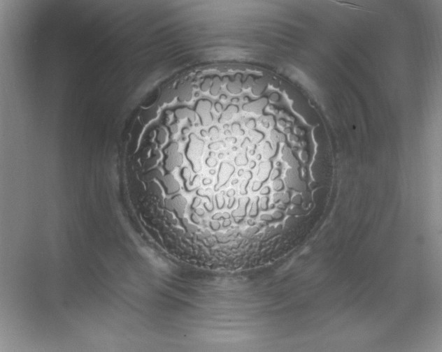 X0000068840345200605191931