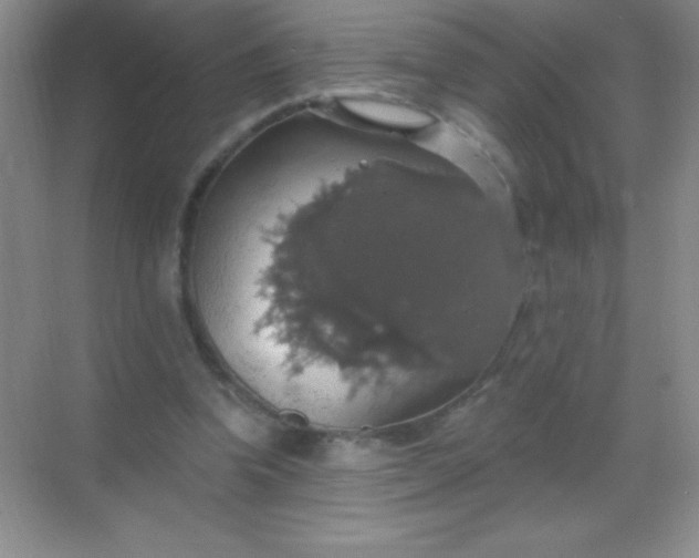 X0000068840346200605191931