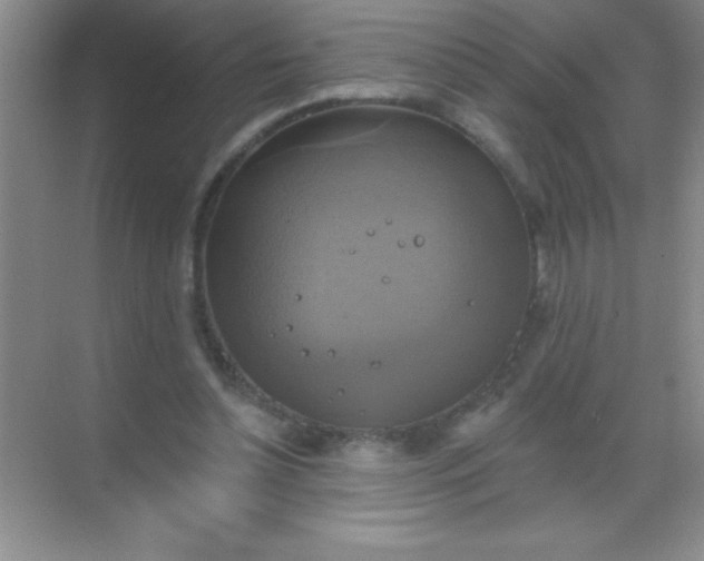 X0000068840348200605191931