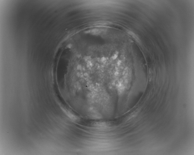 X0000068840349200605191931