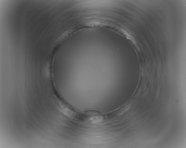 X0000068840353200605191931