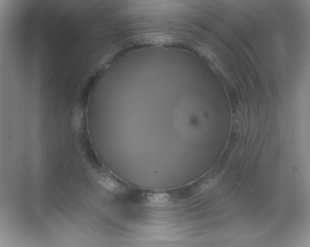 X0000068840355200605191931