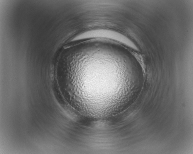 X0000068840356200605191931