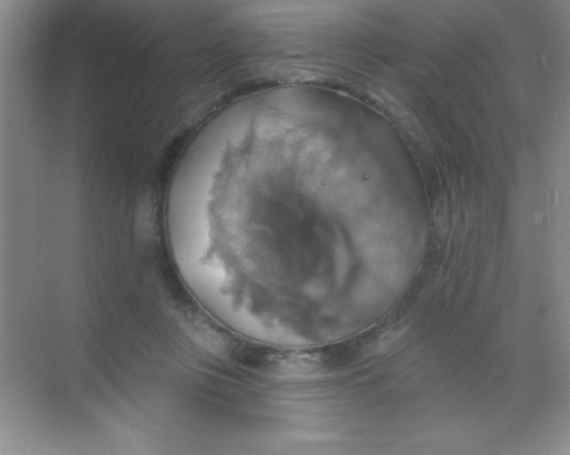 X0000068840359200605191931