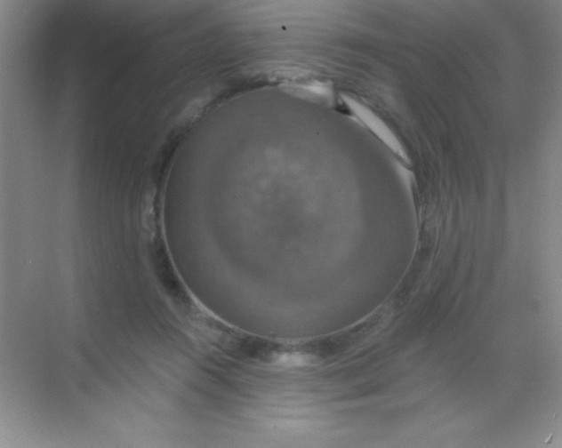 X0000068840360200605191931