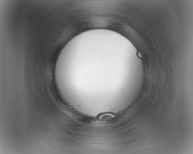 X0000068840362200605191931