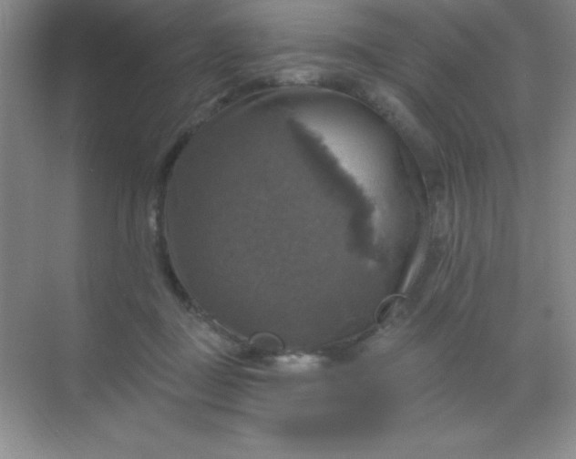 X0000068840363200605191931