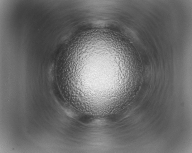 X0000068840364200605191931