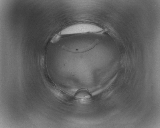 X0000068840365200605191931