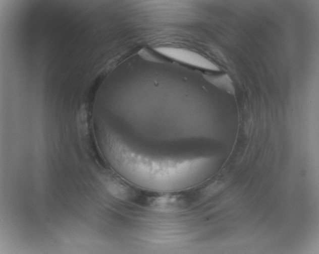 X0000068840366200605191931