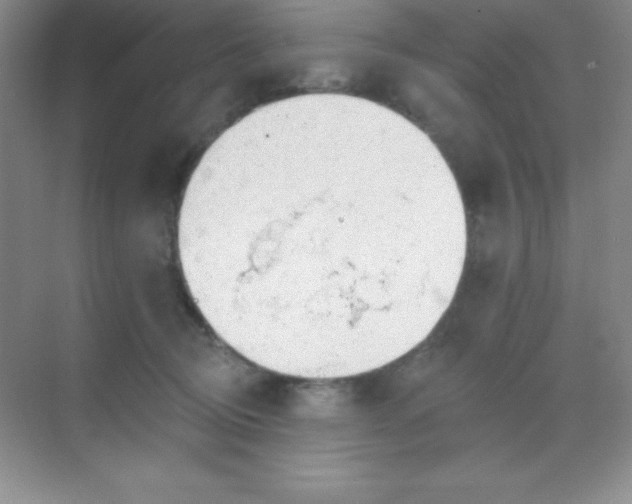 X0000068840370200605191932