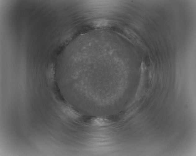 X0000068840372200605191932