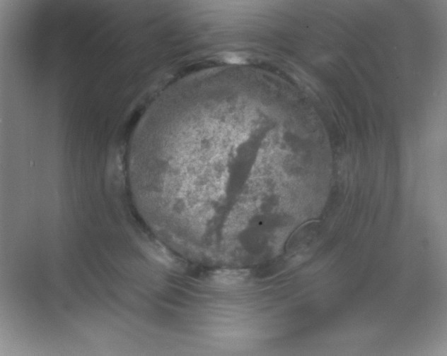 X0000068840373200605191932