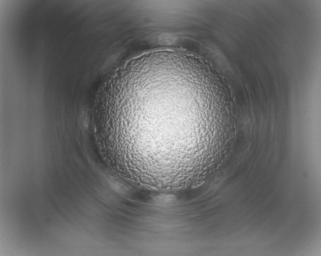 X0000068840374200605191932