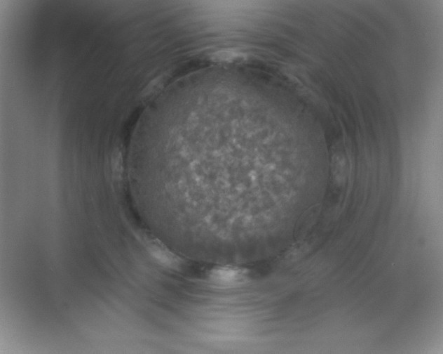 X0000068840375200605191932