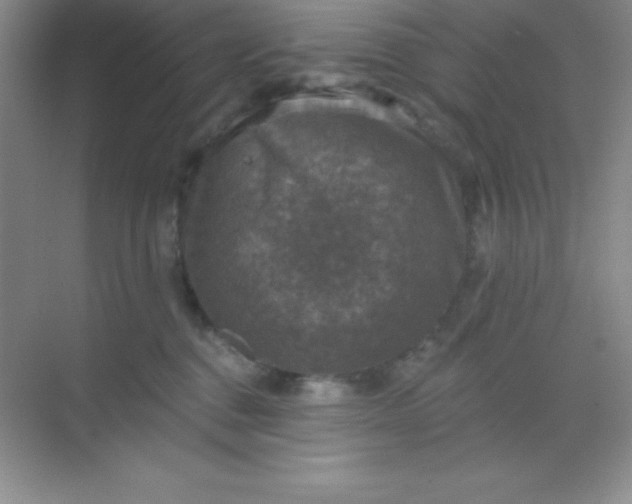 X0000068840376200605191932