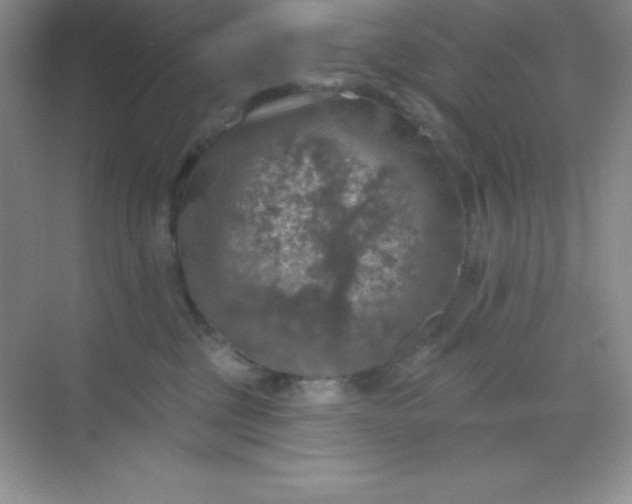 X0000068840377200605191932