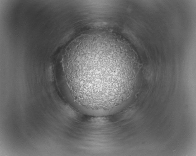 X0000068840378200605191932