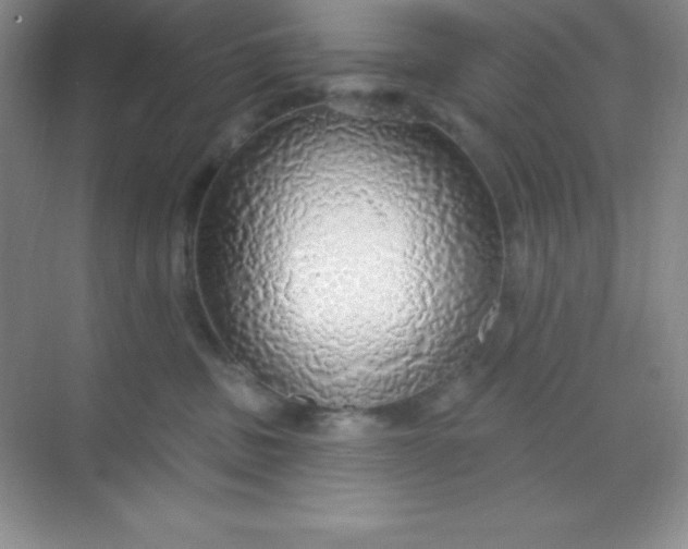 X0000068840379200605191932