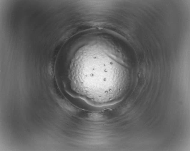 X0000068840380200605191932