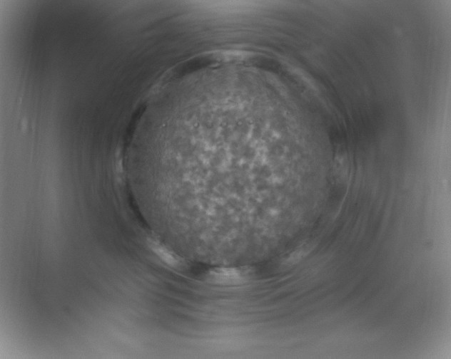 X0000068840381200605191932