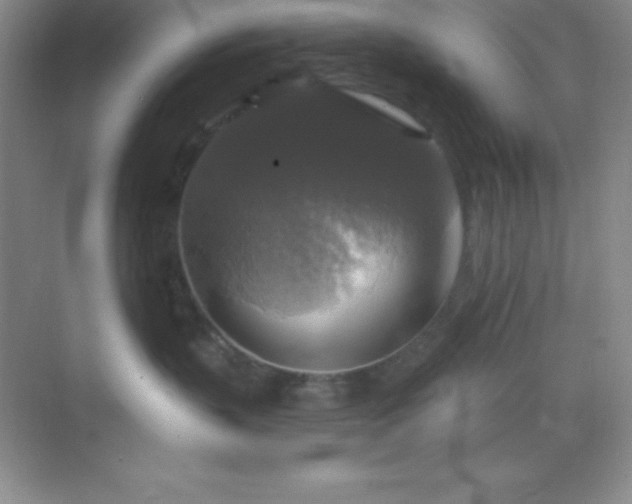 X0000068840383200605191932