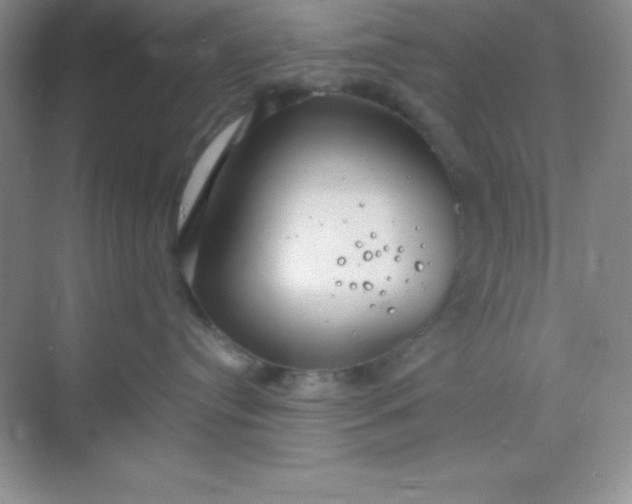 X0000068840384200605191932