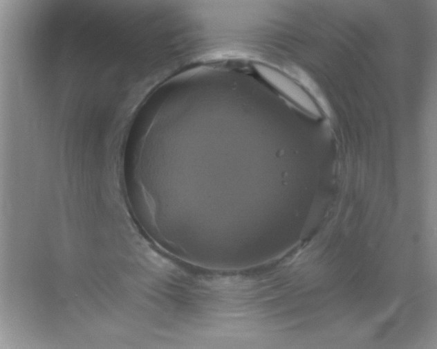 X0000068840385200605191931