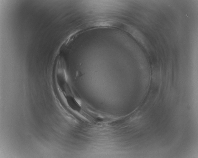 X0000068840386200605191931