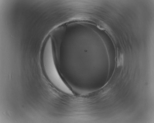 X0000068840387200605191931