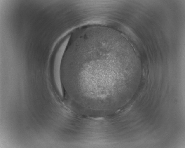 X0000068840388200605191931