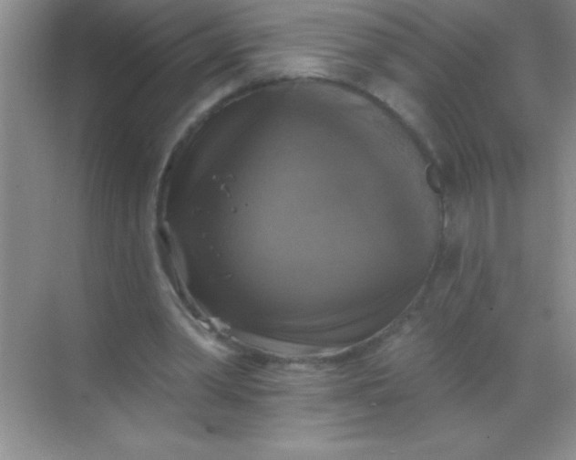 X0000068840390200605191931