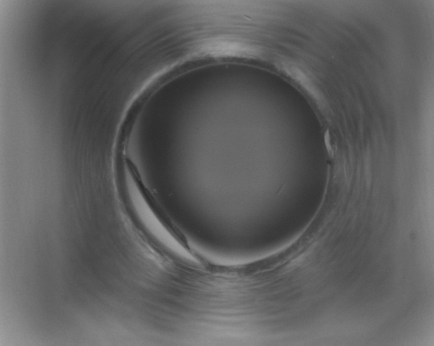 X0000068840391200605191931