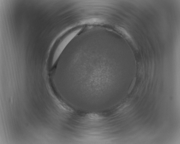 X0000068840392200605191931